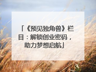 《预见独角兽》栏目：解锁创业密码，助力梦想启航
