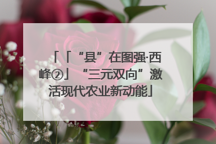 「“县”在图强·西峰②」“三元双向”激活现代农业新动能