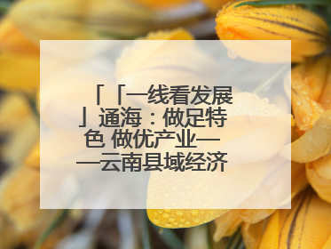 「一线看发展」通海：做足特色 做优产业——云南县域经济样本观察之二