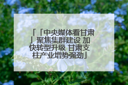 「中央媒体看甘肃」聚焦集群建设 加快转型升级 甘肃支柱产业增势强劲