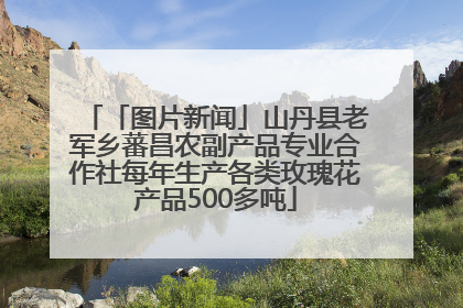 「图片新闻」山丹县老军乡蕃昌农副产品专业合作社每年生产各类玫瑰花产品500多吨