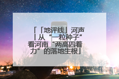 「地评线」河声丨从“一粒种子”看河南“两高四着力”的落地生根