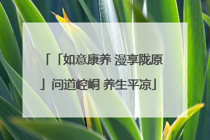 「如意康养 漫享陇原」问道崆峒 养生平凉