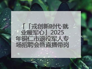 「戎创新时代·就业暖军心」2025年铜仁市退役军人专场招聘会暨直播带岗活动顺利举行