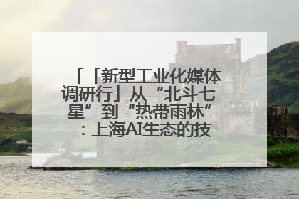 「新型工业化媒体调研行」从“北斗七星”到“热带雨林”：上海AI生态的技术商业共生密码
