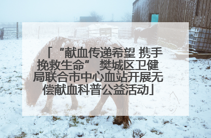 “献血传递希望 携手挽救生命” 樊城区卫健局联合市中心血站开展无偿献血科普公益活动