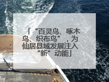 “百灵鸟、啄木鸟、织布鸟”，为仙居县域发展注入“新”动能