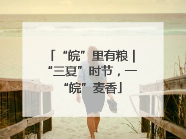 “皖”里有粮｜“三夏”时节，一“皖”麦香