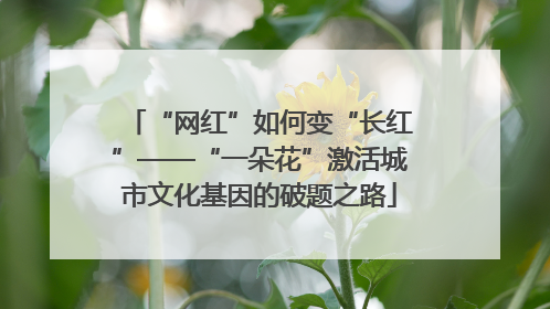 “网红”如何变“长红”——“一朵花”激活城市文化基因的破题之路