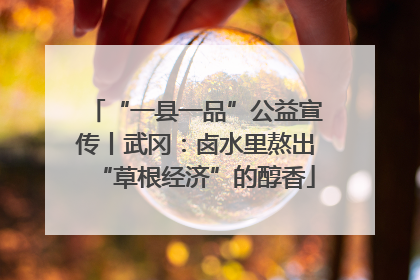 “一县一品”公益宣传丨武冈：卤水里熬出“草根经济”的醇香