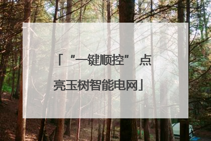 “一键顺控” 点亮玉树智能电网