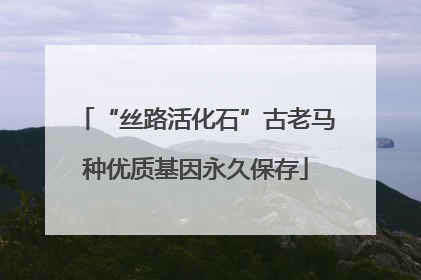 “丝路活化石”古老马种优质基因永久保存