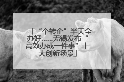 “个转企”半天全办好……无锡发布“高效办成一件事”十大创新场景