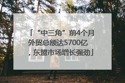 “中三角”前4个月外贸总额达5700亿，东盟市场增长强劲