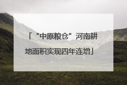 “中原粮仓”河南耕地面积实现四年连增