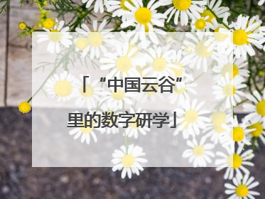 “中国云谷”里的数字研学