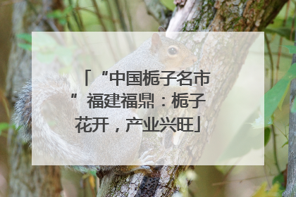 “中国栀子名市”福建福鼎：栀子花开，产业兴旺