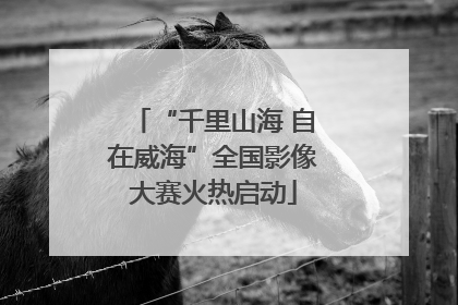 “千里山海 自在威海”全国影像大赛火热启动