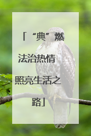 “典”燃法治热情 照亮生活之路