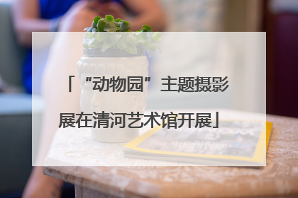 “动物园”主题摄影展在清河艺术馆开展