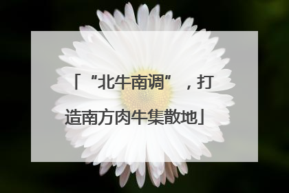 “北牛南调”，打造南方肉牛集散地