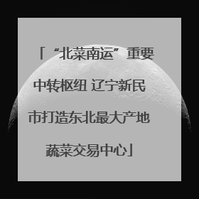 “北菜南运”重要中转枢纽 辽宁新民市打造东北最大产地蔬菜交易中心