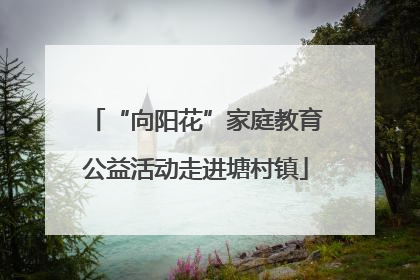 “向阳花”家庭教育公益活动走进塘村镇