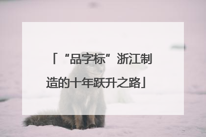“品字标”浙江制造的十年跃升之路
