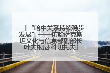 “哈中关系持续稳步发展”——访哈萨克斯坦文化与信息部副部长叶夫根尼·科切托夫