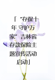 “存保十年 守护万家”吉林省存款保险主题宣传活动启动