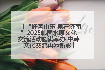 “好客山东 泉在济南”2025韩国水原文化交流活动圆满举办 中韩文化交流再添新彩
