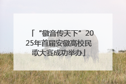 “徽音传天下”2025年首届安徽高校民歌大赛成功举办