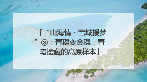 “山海情・雪域援梦”⑧：青稞变金稞，青岛援藏的高原样本