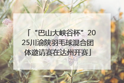 “巴山大峡谷杯”2025川渝陕羽毛球混合团体邀请赛在达州开赛