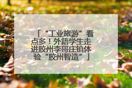 “工业旅游”看点多！外籍学生走进胶州李哥庄镇体验“胶州智造”