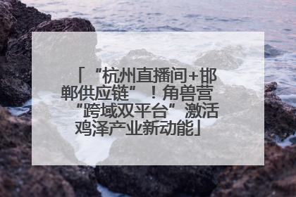 “杭州直播间+邯郸供应链”！角兽营“跨域双平台”激活鸡泽产业新动能