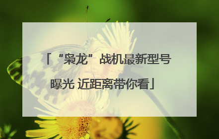 “枭龙”战机最新型号曝光 近距离带你看