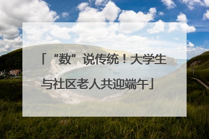“数”说传统！大学生与社区老人共迎端午
