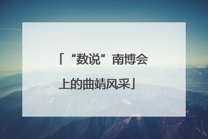 “数说”南博会上的曲靖风采