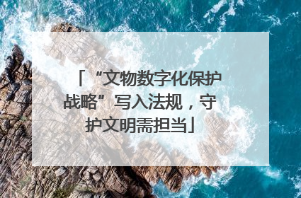 “文物数字化保护战略”写入法规，守护文明需担当