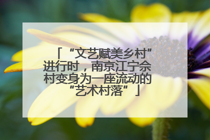 “文艺赋美乡村”进行时，南京江宁佘村变身为一座流动的“艺术村落”