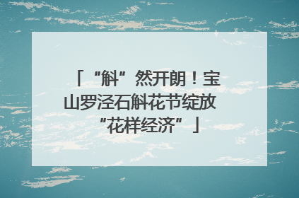 “斛”然开朗！宝山罗泾石斛花节绽放“花样经济”