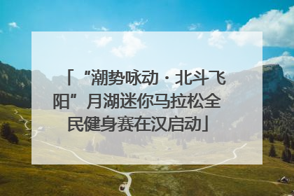 “潮势咏动・北斗飞阳”月湖迷你马拉松全民健身赛在汉启动