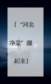 “河北净菜”靓起来