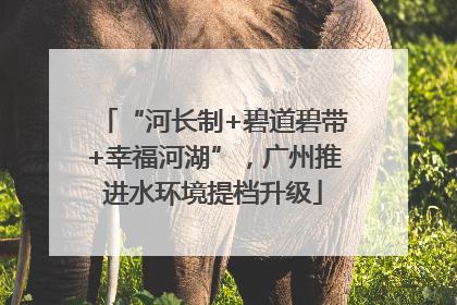 “河长制+碧道碧带+幸福河湖”，广州推进水环境提档升级