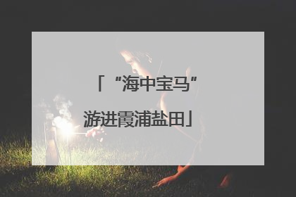 “海中宝马”游进霞浦盐田