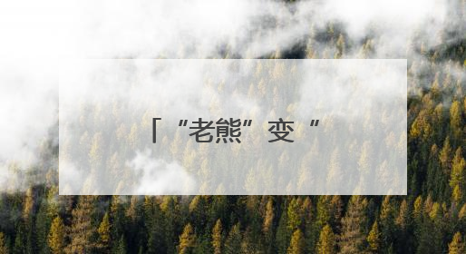 “老熊”变“熊总”——看“个转企”如何转出发展新空间