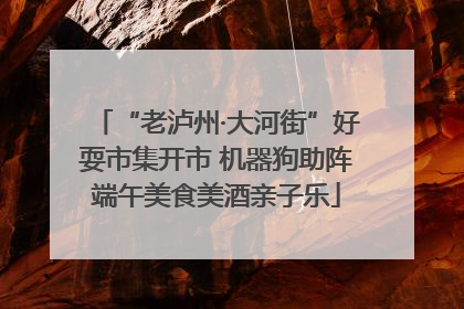“老泸州·大河街”好耍市集开市 机器狗助阵端午美食美酒亲子乐