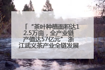 “茶叶种植面积达12.5万亩，全产业链产值达57亿元” 浙江武义茶产业全链发展“加速度”