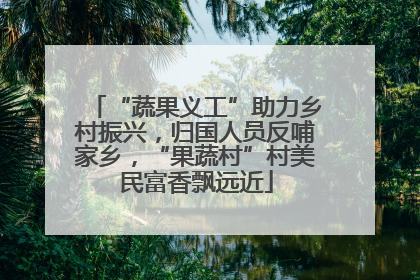 “蔬果义工”助力乡村振兴，归国人员反哺家乡，“果蔬村”村美民富香飘远近